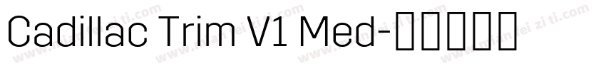Cadillac Trim V1 Med字体转换